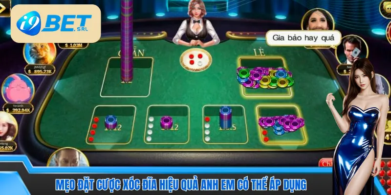 Mẹo đặt cược Xóc đĩa hiệu quả anh em có thể áp dụng 